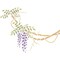 Small Japanese Wisteria Vine Wall Stencil | 2390 by Designer Stencils | Floral Stencils | Reusable Art Craft Stencils for Painting on Walls, Canvas, Wood | Reusable Plastic Paint Stencil for Home Makeover | Easy to Use & Clean Art Stencil